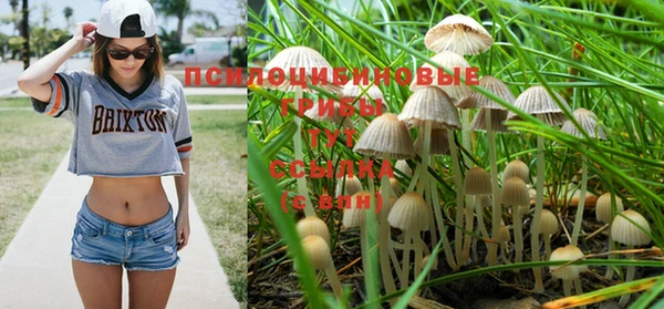 дживик Протвино