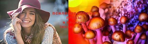 не бодяженный Приозерск