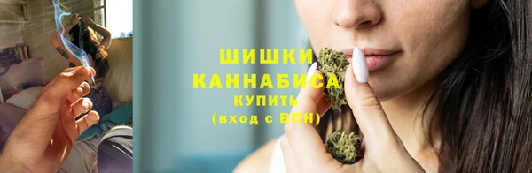дживик Протвино
