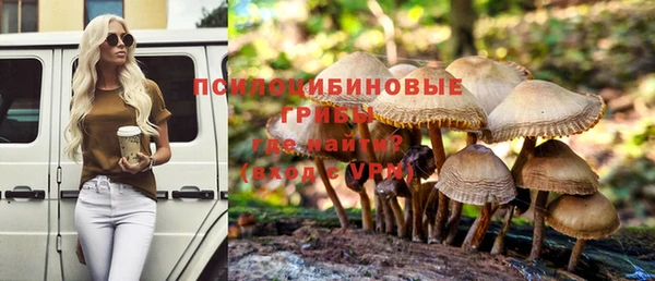 гашик Пролетарск