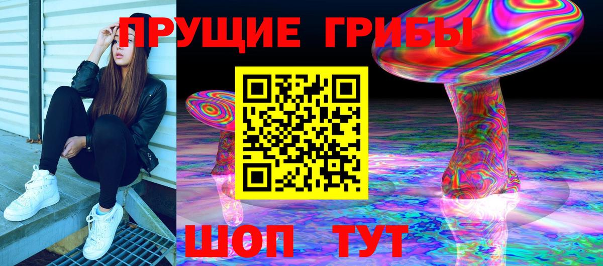 Псилоцибиновые грибы GOLDEN TEACHER  Вход с VPN  Бузулук  Псилоцибиновые грибы Cubensis 