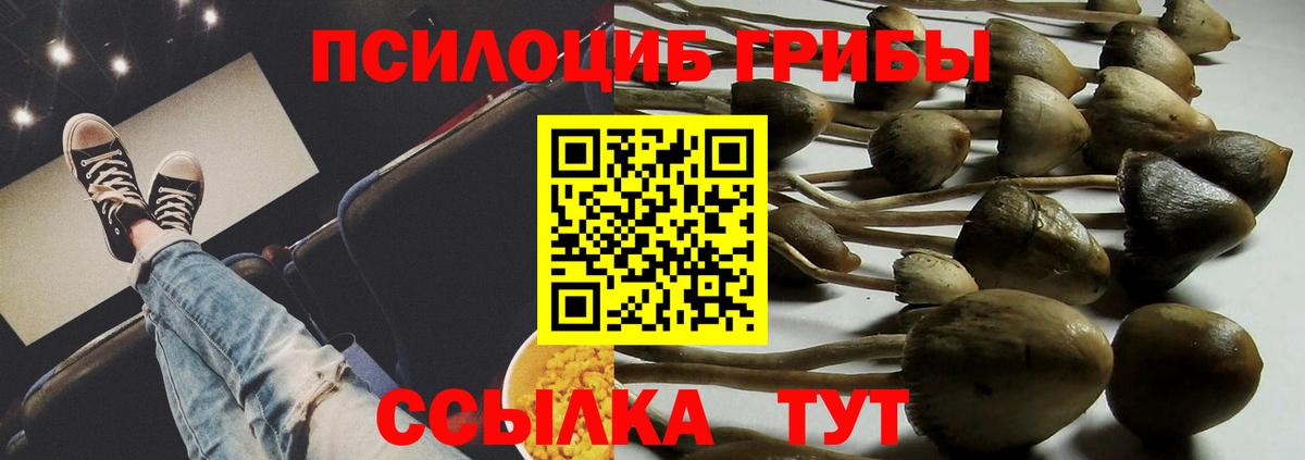 Псилоцибиновые грибы MAGIC MUSHROOMS Бузулук